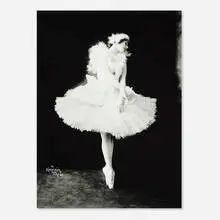 Photograph of Anna Pavlova as the Swan for the ballet Swan Lake by Herman Mishkin, inkjet print, sold Jun 2025