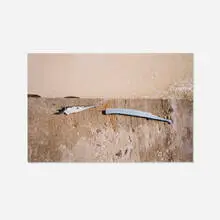 Mona Hatoum, Garfish (Bequia), 1996, C-print
