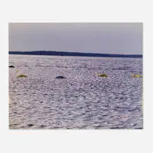 Three Swanlake by Lynda Benglis, 2002-03, C-print with gold leaf, sold Jun 2025