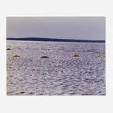 Lynda Benglis, Three Swanlake