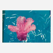 John Gerstner, Untitled 110, 1989, C-print