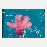 John Gerstner, Untitled 110, 1989, C-print