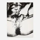 Untitled (from the Sex Parts series) (Unique) by Andy Warhol, 1978, screenprint on HMP, sold Dec 2023