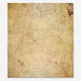 Raphaëlle Goethals, Dissected Desire, 1999, encaustic on panel