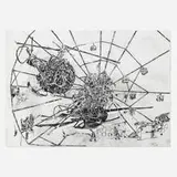 Steve DiBenedetto, Approach with Shadows, 2005, charcoal and graphite on paper