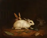 George Morland, Three Rabbits, THREE RABBITS, oil on canvas