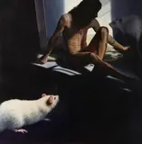 Manon Cleary, RANDY AND THE RATS, identified and titled on gallery label verso, Oil on canvas