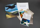Damian Skinner, Don Binney - Nga Manu/Nga Motu - Bird Islands