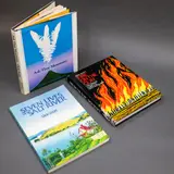 Dick Scott [3 titles by], Ask that Mountain