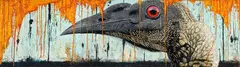 Geoff Dixon, Pareidolic Song (Helmeted Friar Bird)