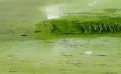 Garry Currin, Untitled