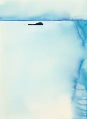 Alice Blackley, Plate Island/Motunau