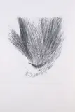 Tony Fomison, Flame Face #2