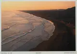 Robin Morrison, Muriwai Beach