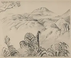 Christopher Perkins, Horahora