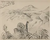 Christopher Perkins, Horahora