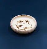 Len Castle, Very early slip trailed pin dish