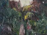 Holly Zandbergen, Follow