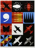 Richard Killeen, Black plane