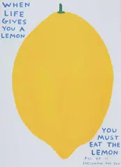 David Shrigley, When Life Gives you a Lemon