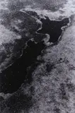 Peter Peryer, New Zealand 15.3.1991