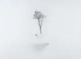 Alan Ibell, Kindling (The Unbound Offering)