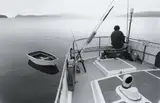 Scott Younger, Untitled [Fishing]