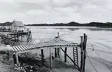 Scott Younger, Untitled [Pontoon]