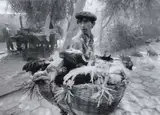 Scott Younger, Uyghur (Uighur), Kashgar Sunday Bazaar, Xinjiang, China