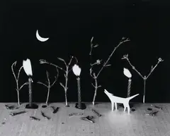 Where the Wild Things Are (1989) by Marie Shannon, offered Oct 2022