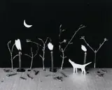 Marie Shannon, Where the Wild Things Are (1989)