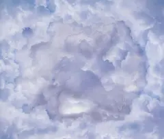 Jae Hoon Lee, Yellow Cloud (2007)