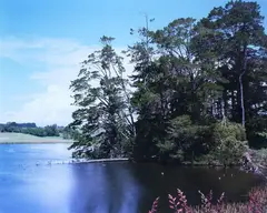 Kevin Capon, Barrett’s Lagoon
