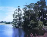 Kevin Capon, Barrett’s Lagoon