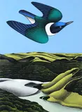 Don Binney, Swoop of the Kotare, Wainamu