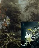 John Young, French Wallpaper Flower Study #2