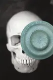 Gavin Hipkins, Tender Buttons (Skull)
