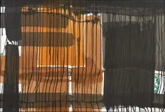 Wilderness 4 by Guy Ngan, sold Mar 2022