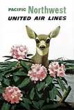 Stan Galli, ‘United Air Lines - Pacific Northwest’