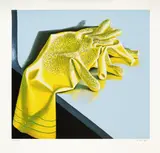 Michael Smither, The Yellow Rubber Gloves