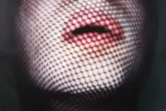 Anne Noble, Ruby’s Room #36