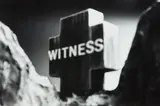 Ronnie van Hout, Witness