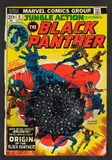 Rohan Wealleans, Black Panther