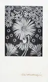 Rita Angus, Untitled - daisy study