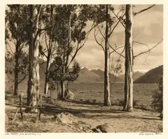 George Chance, Lake Wakatipu from Queenstown - N.Z.