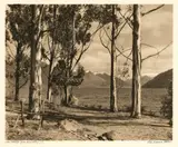 George Chance, Lake Wakatipu from Queenstown - N.Z.