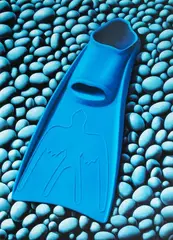 Blue Flipper by Michael Smither, sold Sep 2020
