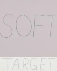 Soft Target by John Reynolds, offered Sep 2020