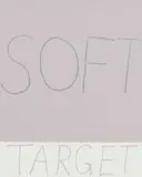 John Reynolds, Soft Target