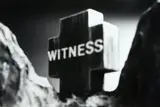 Ronnie van Hout, Witness
